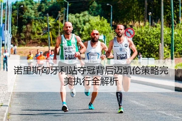 诺里斯匈牙利站夺冠背后迈凯伦策略完美执行全解析
